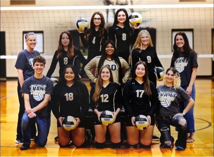 Lady Elks Volleyball team photo